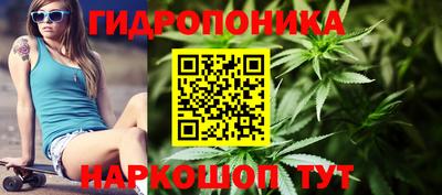 ALPHA-PVP Новозыбков