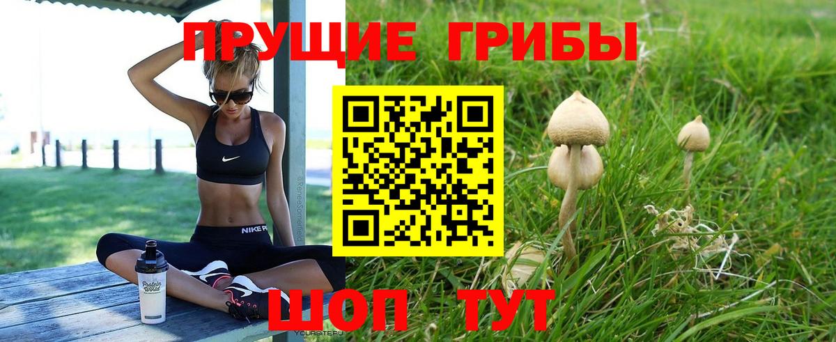 Псилоцибиновые грибы Magic Shrooms  купить наркоту  Вход с VPN  Сыктывкар  Галлюциногенные грибы мухоморы 