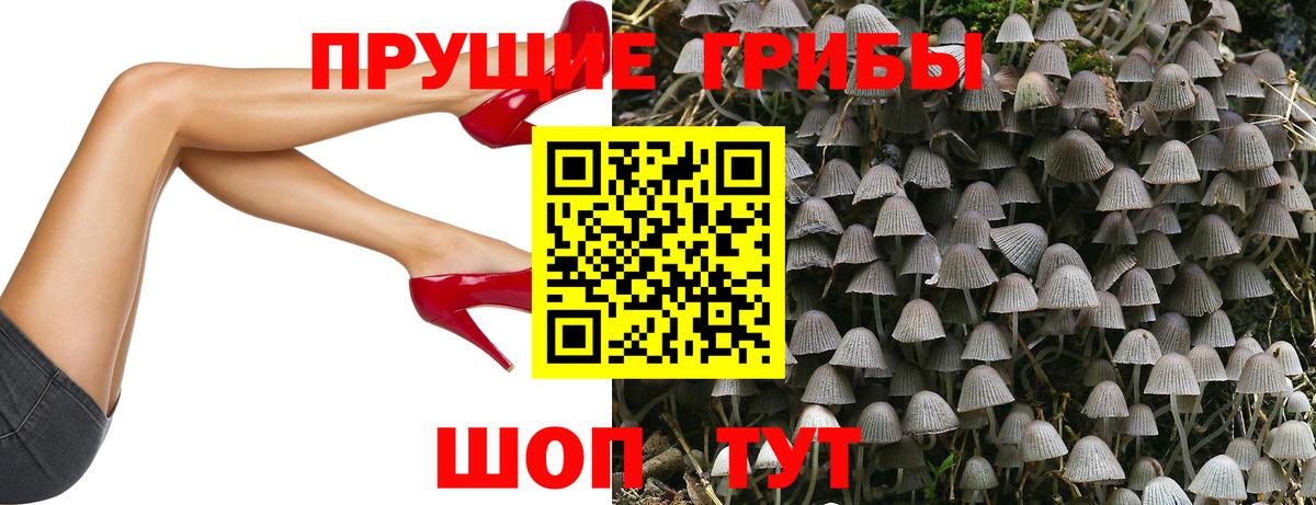 Псилоцибиновые грибы мицелий Сыктывкар